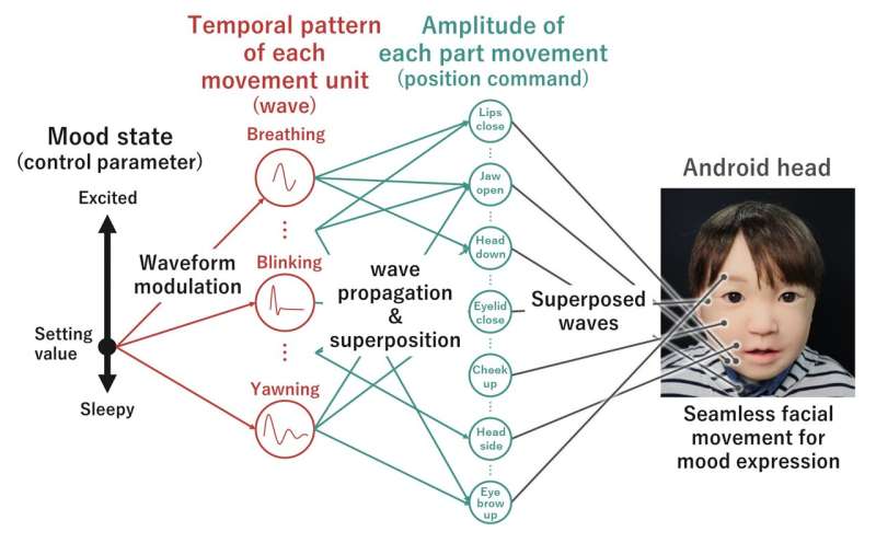 Proposed system. Credit: Hisashi Ishihara Crossing the Uncanny Valley: Breakthrough in technology for lifelike facial expressions in androids