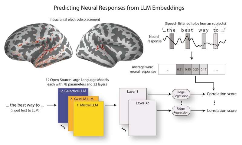 The methodology for predicting brain responses to speech from LLM embeddings, to assess the similarity of various LLMs to the brain. Credit: Gavin Mischler (Figure adapted from Mischler et al., Nature Machine Intelligence, 2024). LLM representations mirror human brain responses more closely as LLMs become more advanced